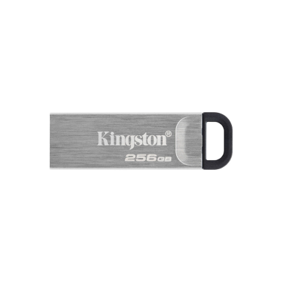 Kingston DataTraveler Kyson USB Flash Drive 256GB (DTKN/256GB)